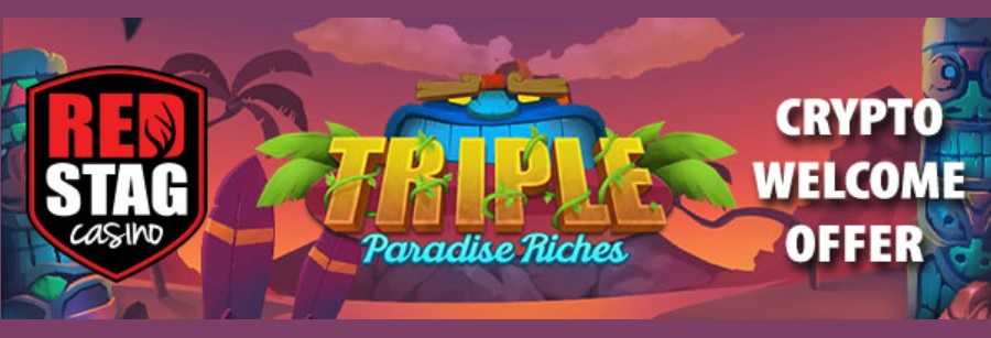 325% Up to 650$ Welcome Bonus + 200 Triple Paradise Riches Spins On Your 1st Deposit With BTC, BCH Or LTC!